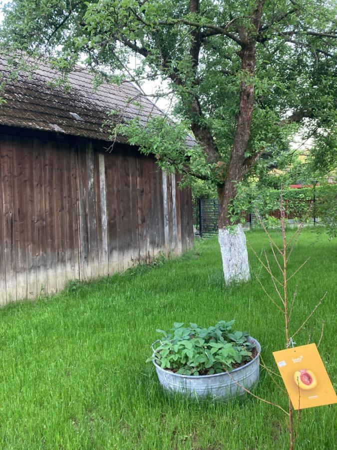 Gospodarstwo Przy Drodze. Czchow Bagian luar foto